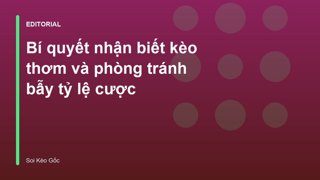 Người chơi đang phân tích bảng tỷ lệ kèo bóng đá